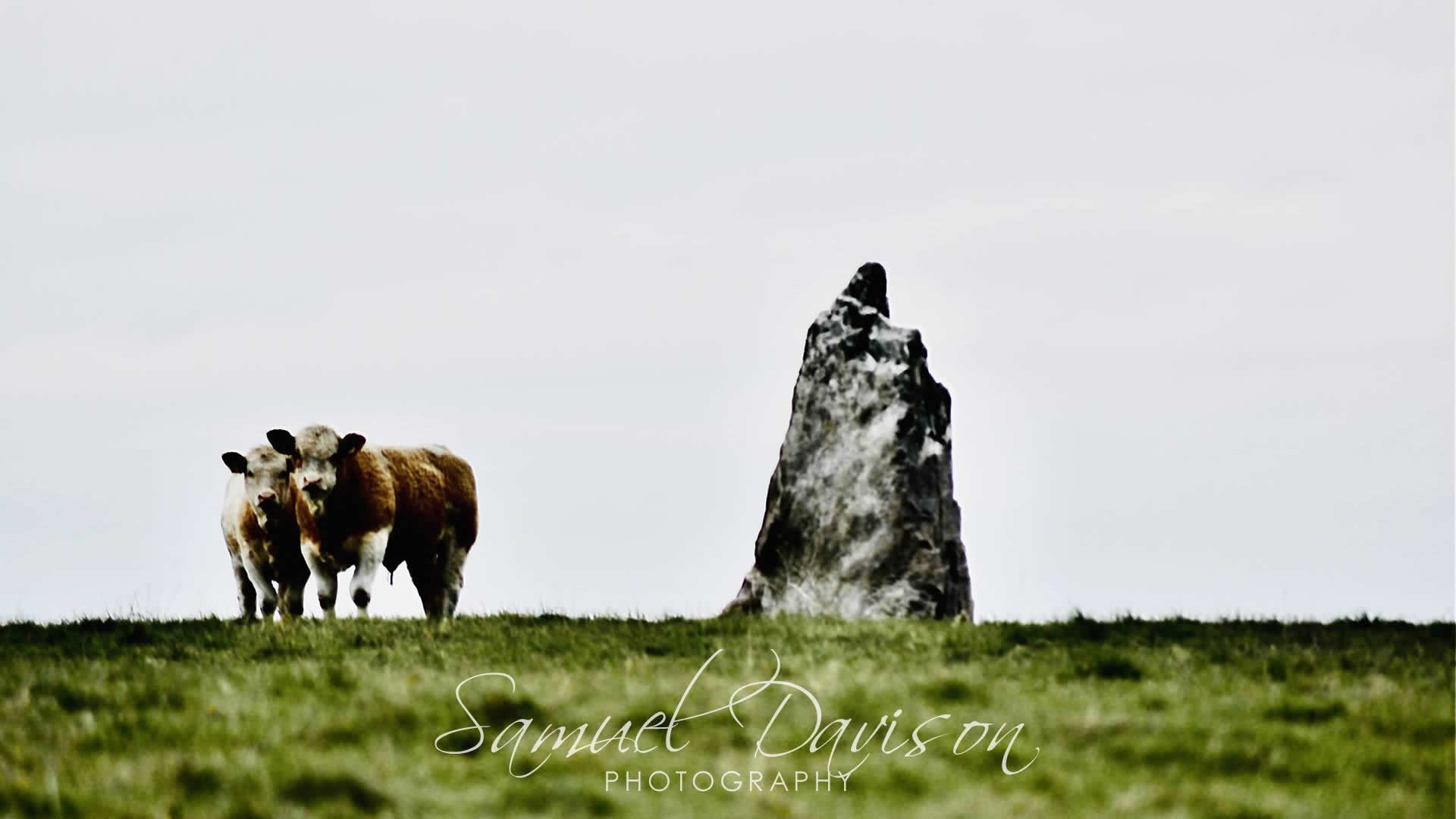 st breock downs menhir